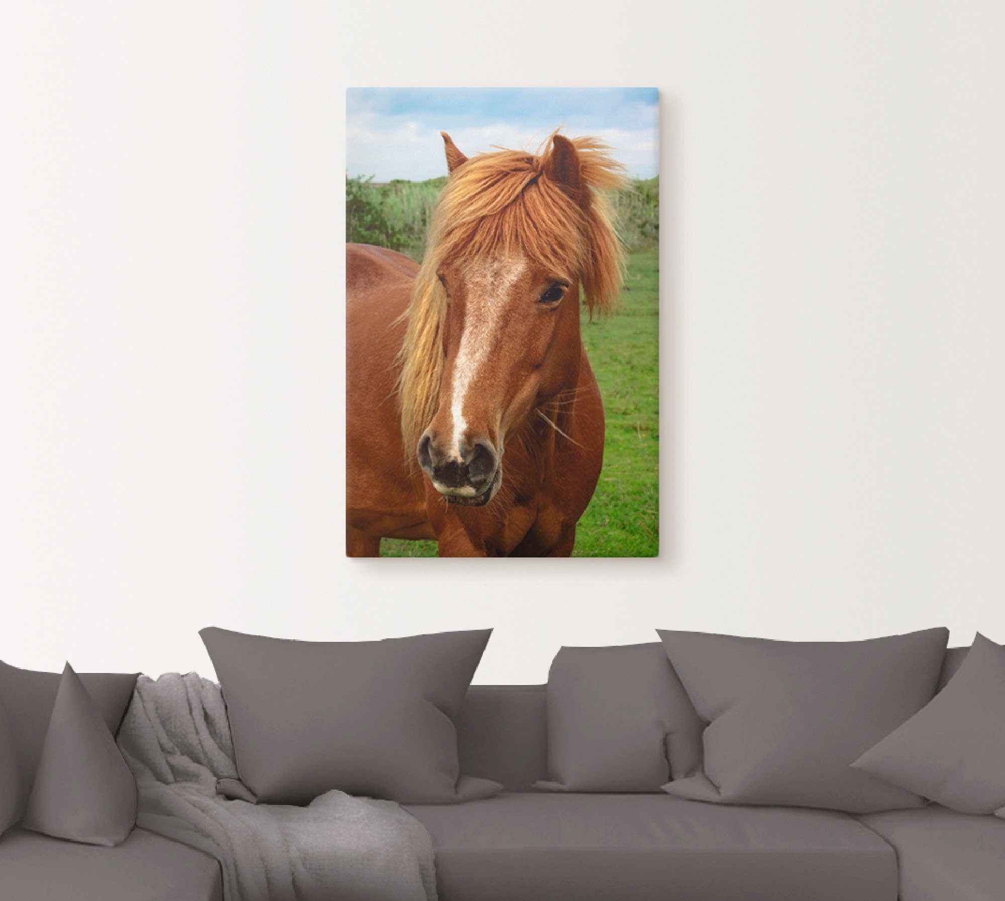 (1 Wandbild Artland Haustiere Wandaufkleber oder Pferd, Hallo Alubild, in Größen Poster St), als Leinwandbild, versch.