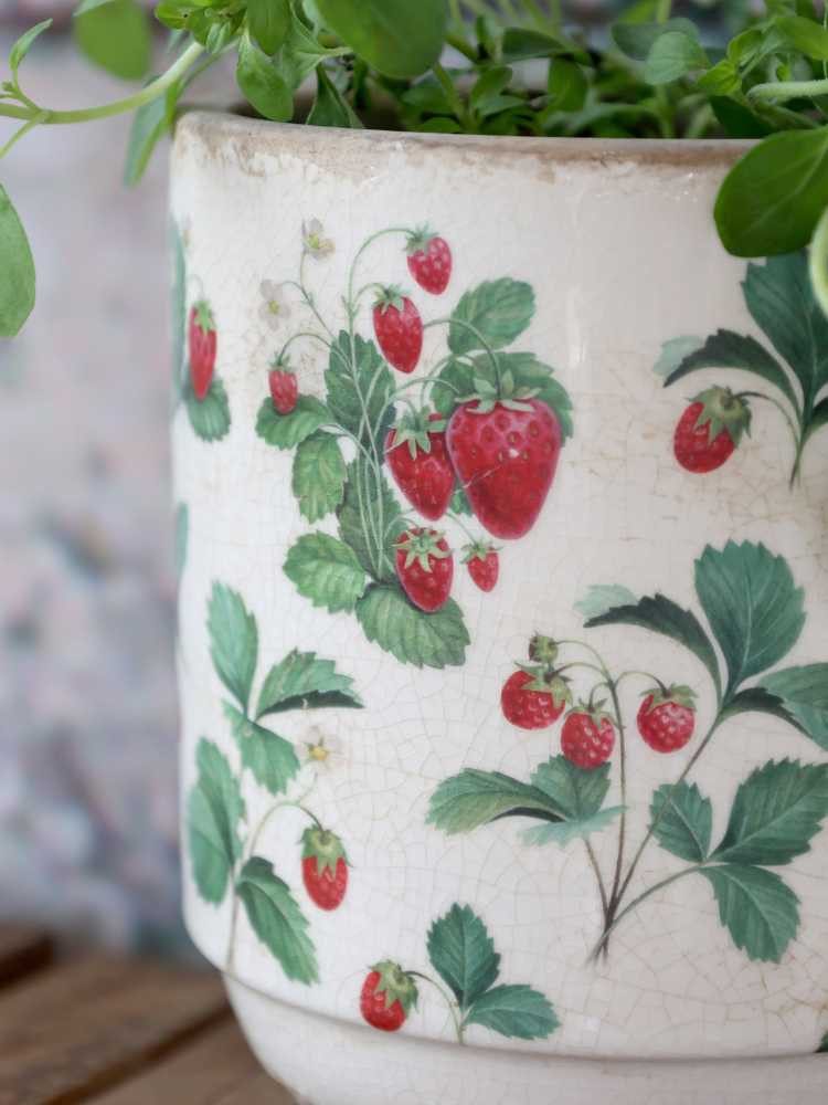 Chic Antique Blumentopf Chic Antique Blumentopf FRAISES Übertopf mit Erdbeeren 13x13 cm