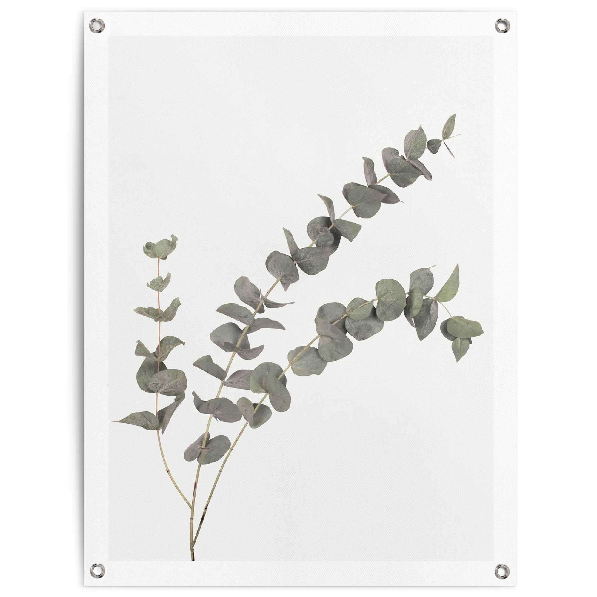 Reinders! Poster Eukalyptus, für Garten oder Outdoor Balkon