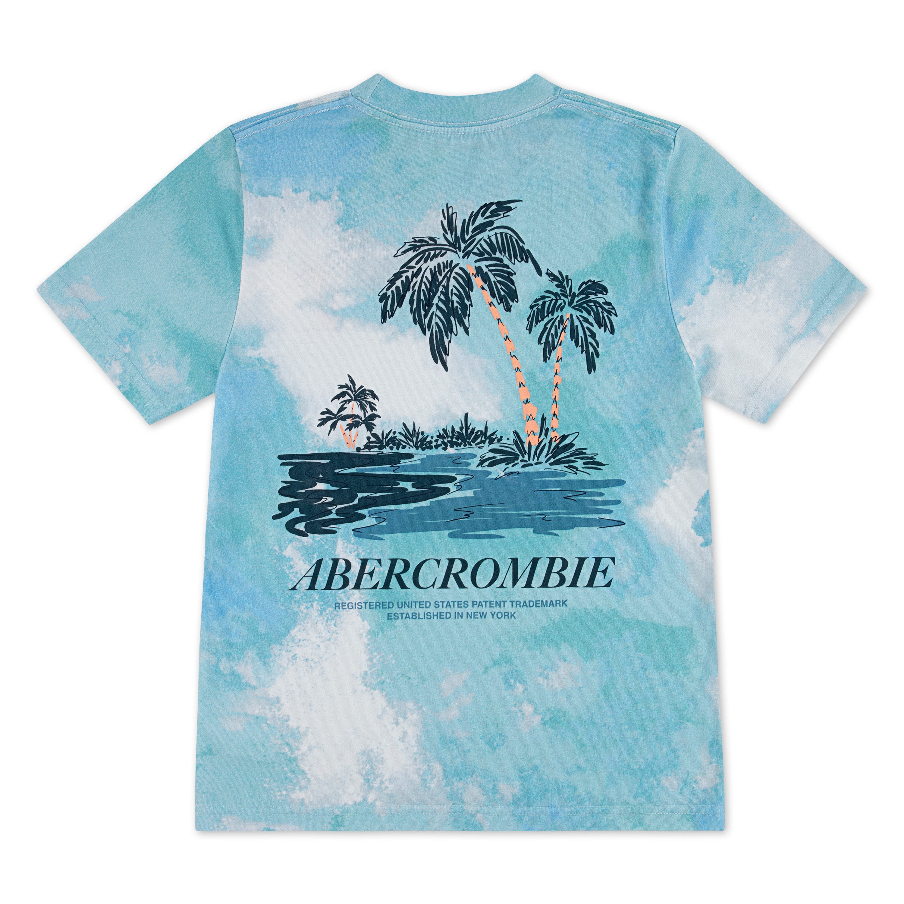 Abercrombie Kids Rundhalsshirt AFB PALM SPRINGS TEE im Batik-Look und mit großem Rückenprint, für Boys