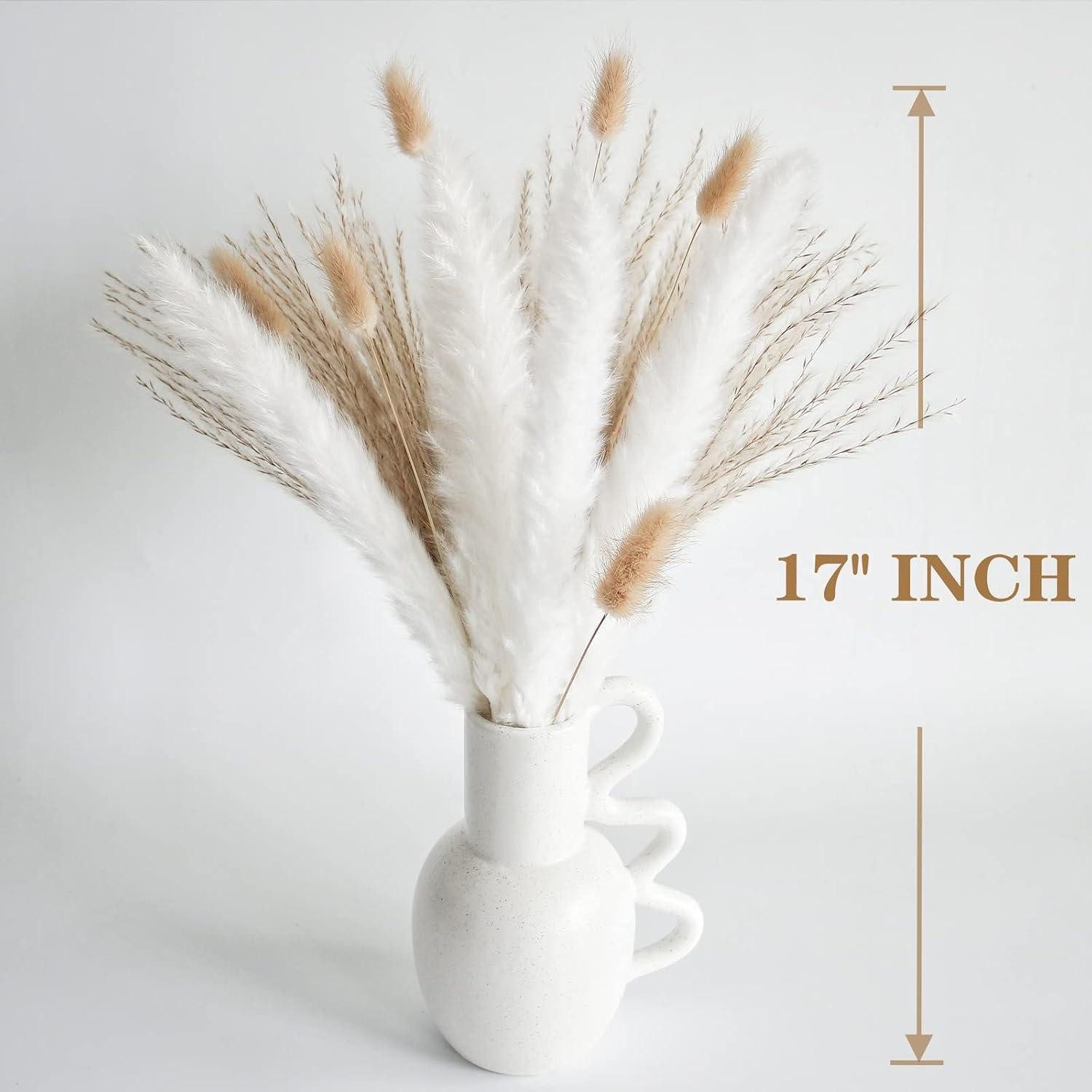Trockenblume 30 PCS Natürliches weißes Pampasgras Dekoration Hochzeit Boho, LuxusKollektion