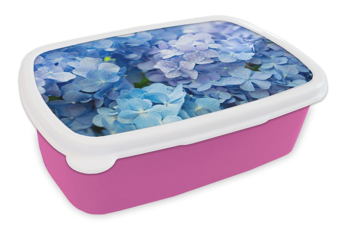 MuchoWow Lunchbox Hortensie - Wassertropfen - Floral - Botanisch - Blau, Kunststoff, (2-tlg), Brotbox für Erwachsene, Brotdose Kinder, Snackbox, Mädchen, Kunststoff rosa