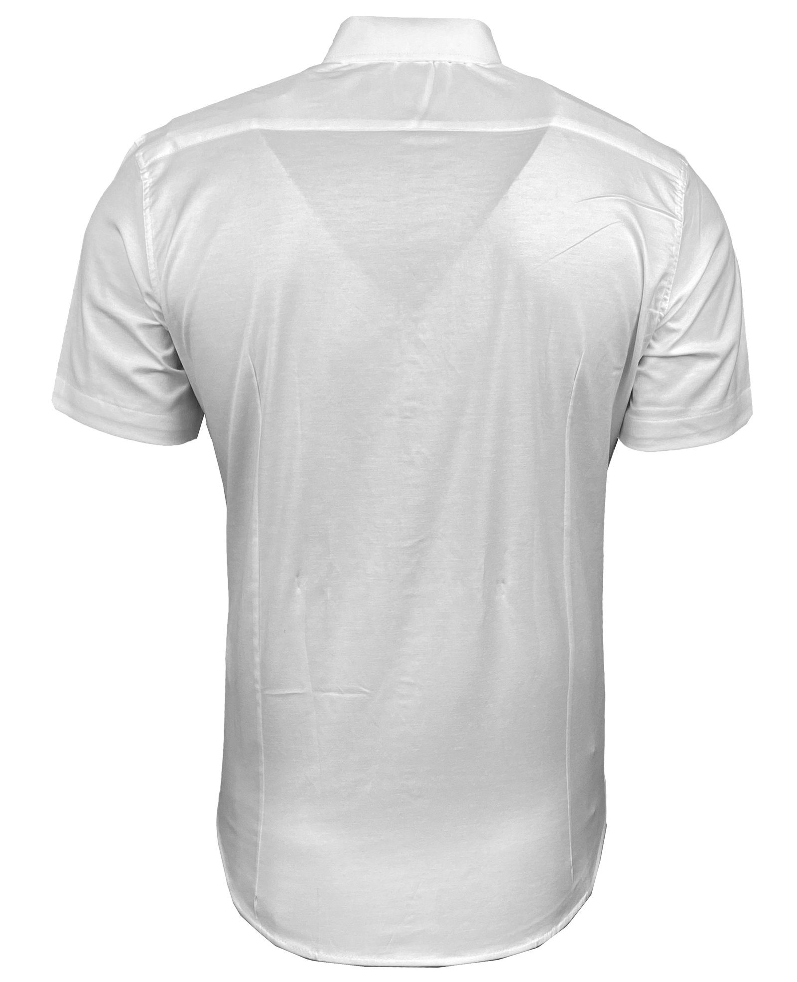 Baxboy Langarmhemd Kurzarmhemd Herren Hemd Bügelleichtes Slim Fit Kentkragen Uni B-455 – Bild 4 von 5
