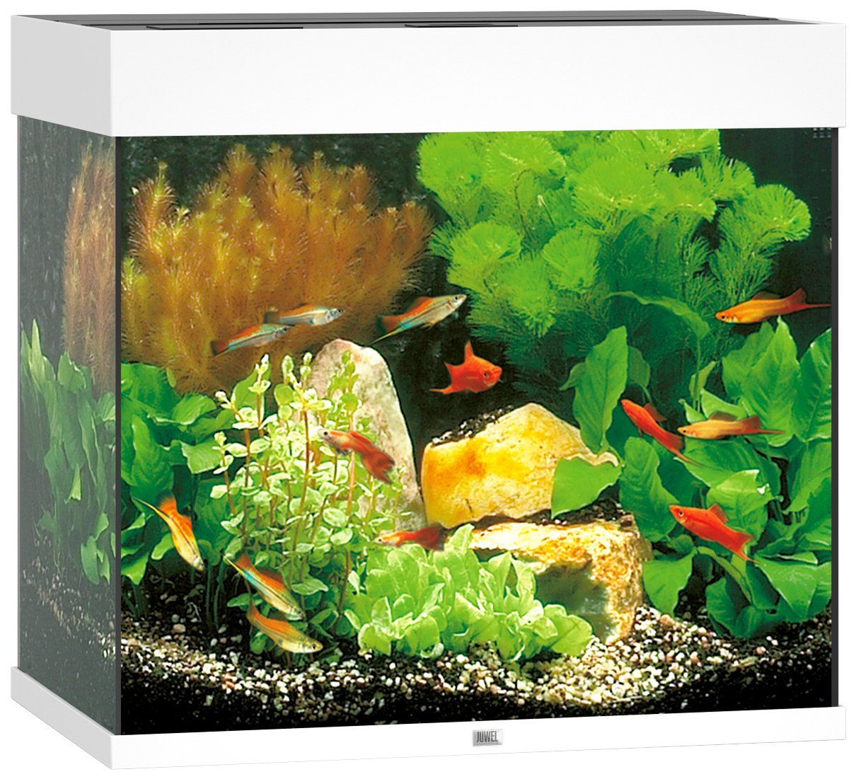 JUWEL AQUARIEN Aquarium »Lido 120 LED«, BxTxH: 61x41x58 cm, 120 l online  kaufen | OTTO