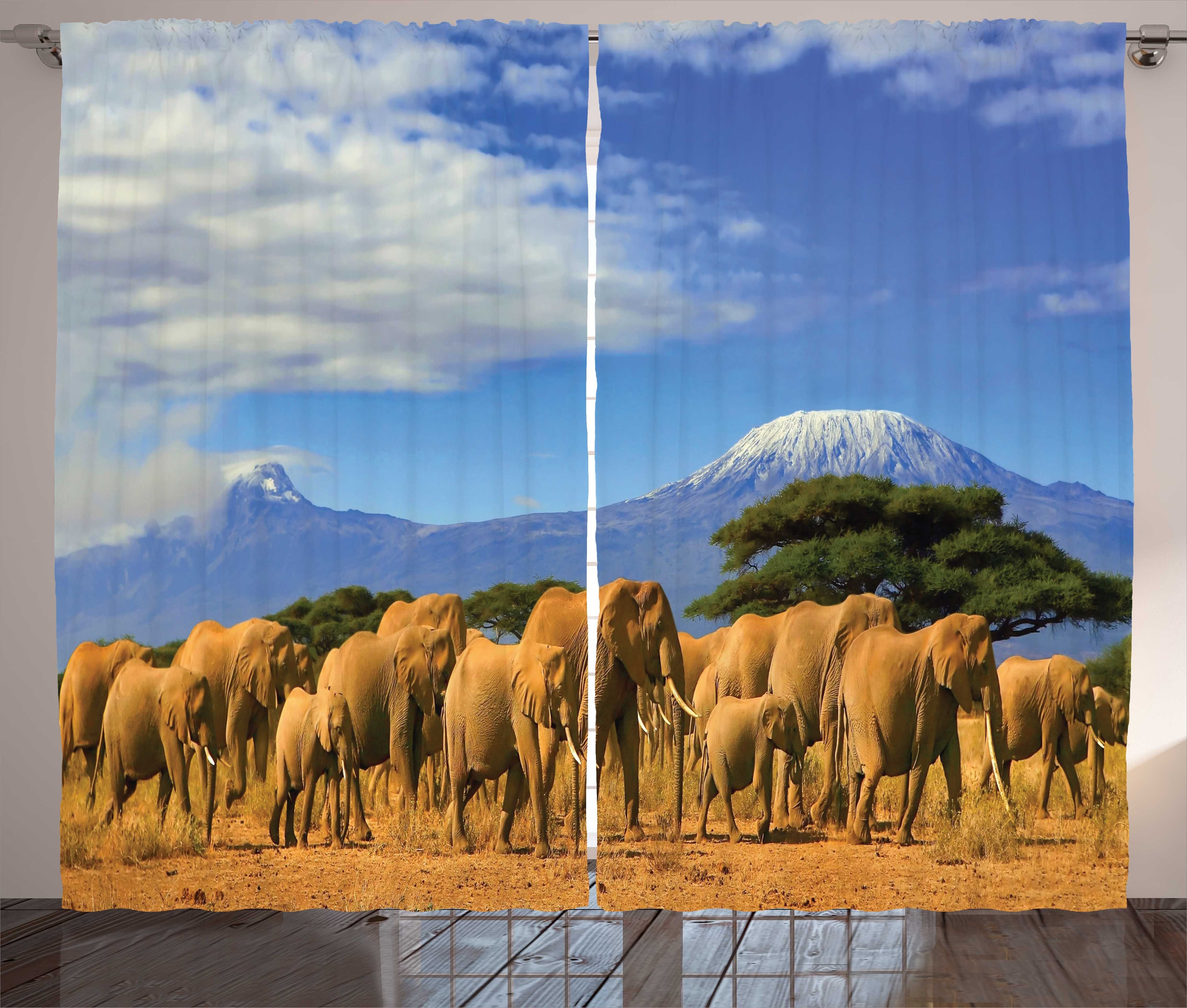 und African Schneeberg Herd Elephant Gardine Schlaufen mit Schlafzimmer Abakuhaus, Haken, Kräuselband Vorhang