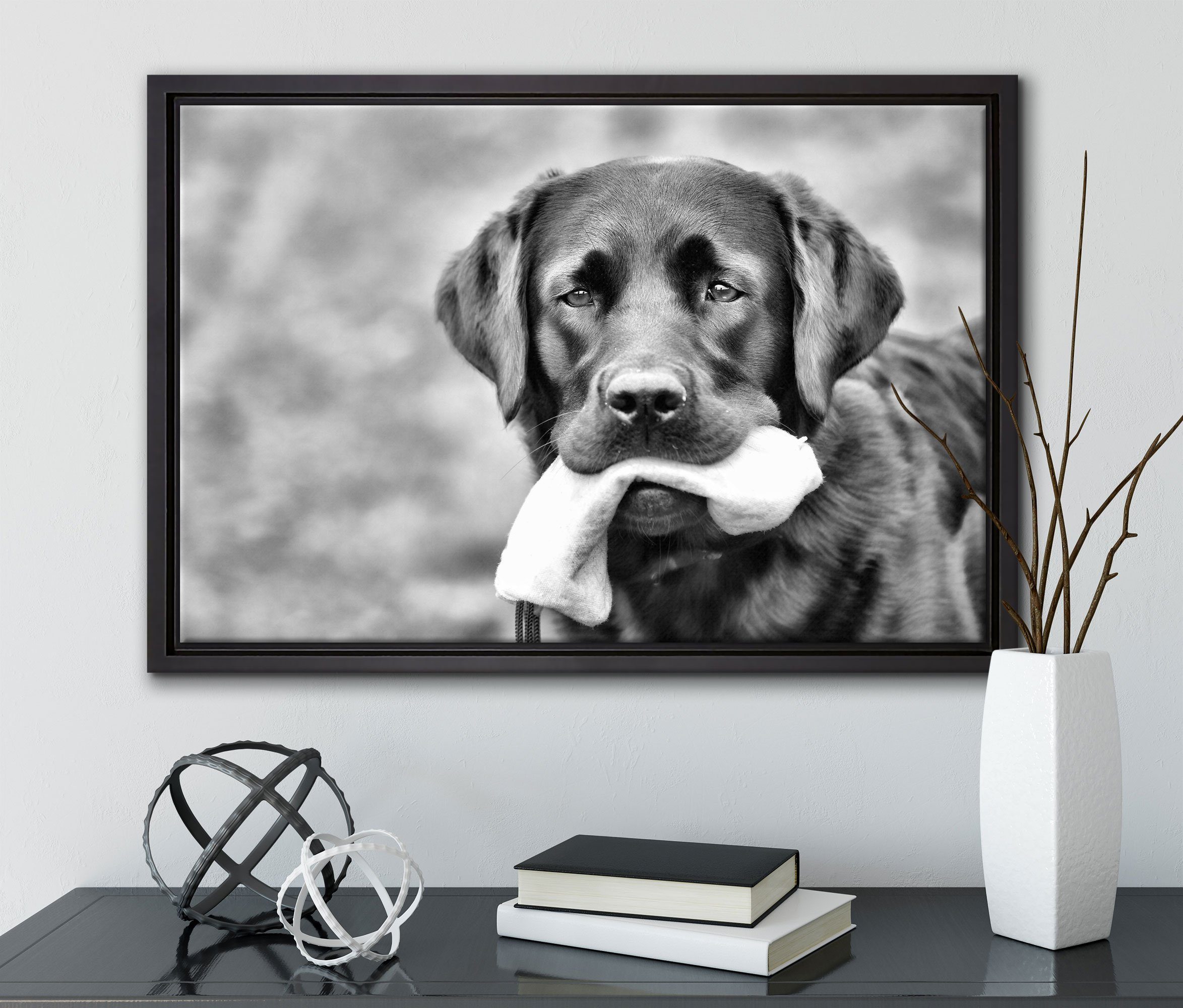 Pixxprint Leinwandbild schwarzer Labrador Spielzeug, (1 fertig gefasst, Wanddekoration Leinwandbild Zackenaufhänger mit Schattenfugen-Bilderrahmen bespannt, einem St), inkl. in