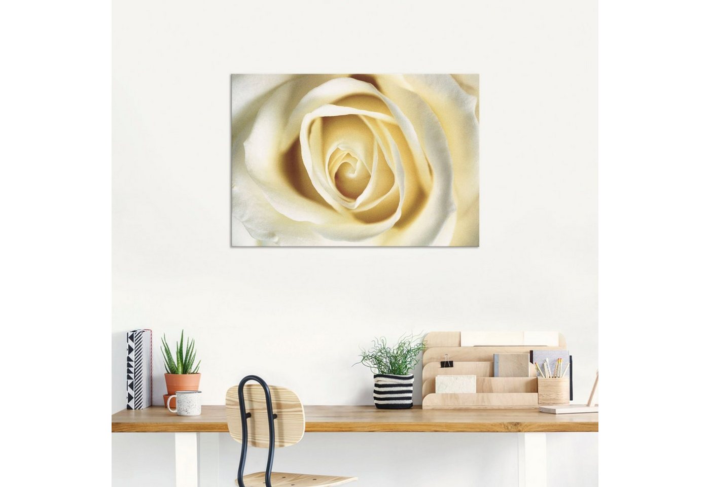 Artland Wandbild »Weiße Rose«, Blumen (1 Stück), in vielen Größen & Produktarten - Alubild / Outdoorbild für den Außenbereich, Leinwandbild, Poster, Wandaufkleber / Wandtattoo auch für Badezimmer geeignet-kaufen