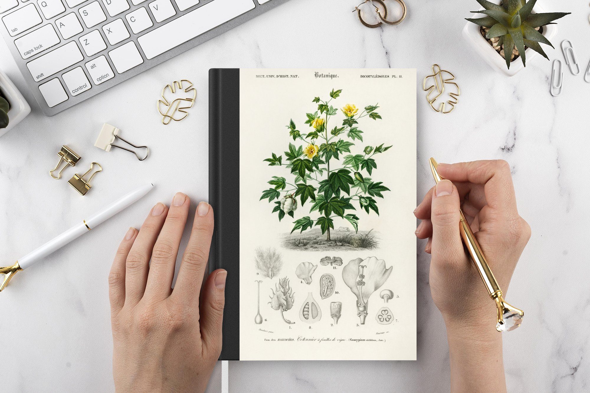 MuchoWow Tagebuch, Merkzettel, Blume A5, Journal, Pflanze Notizbuch - Haushaltsbuch Seiten, - 98 Notizheft, Botanik,