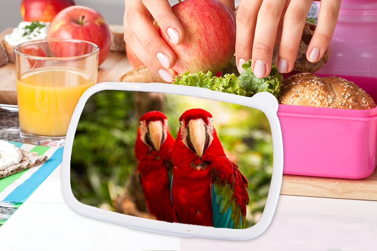 Vögel Papageien Kinder, Brotbox Dschungel, Erwachsene, - Snackbox, Kunststoff Brotdose (2-tlg), Mädchen, - rosa Kunststoff, für MuchoWow Lunchbox