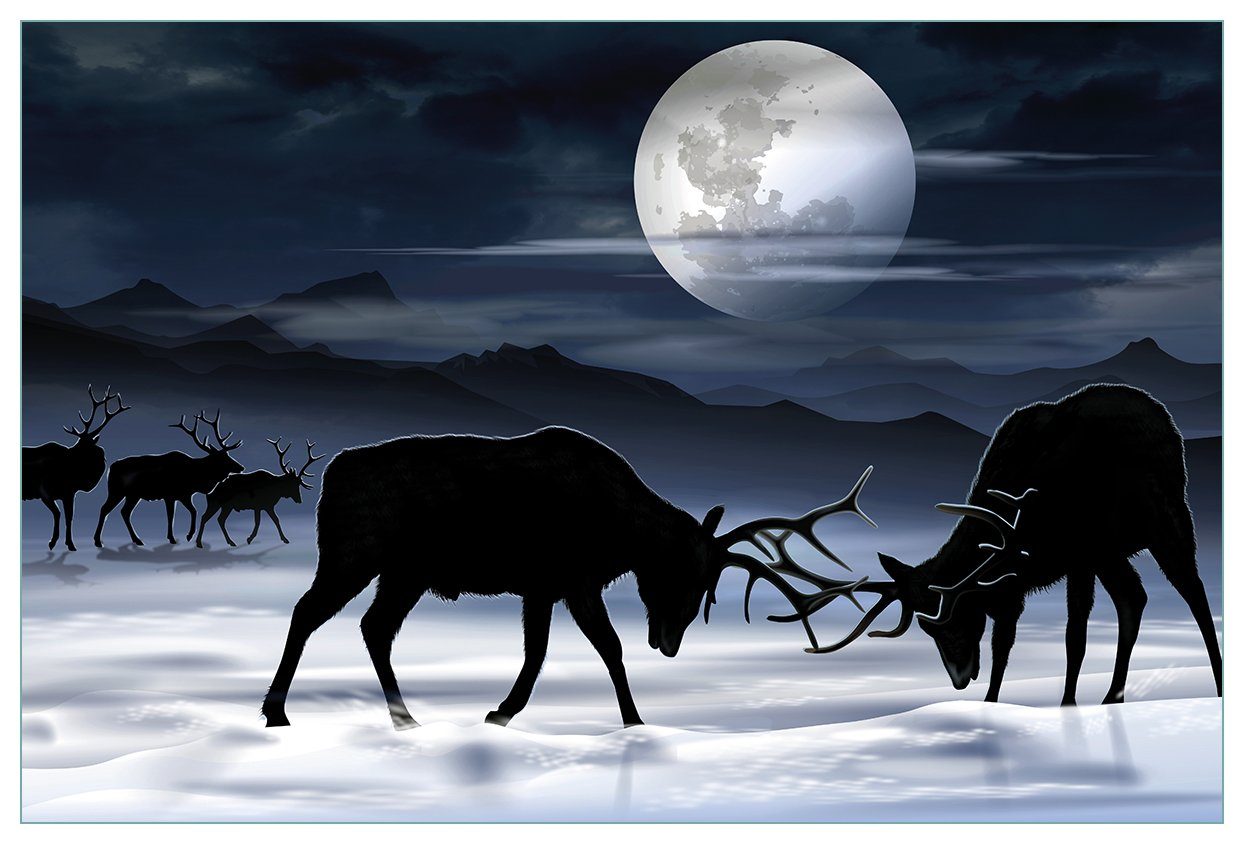 Wallario Küchenrückwand Elch im Schnee bei Mondschein - Silhouette am Abend, (1-tlg)