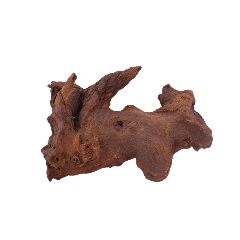 Aquaone Aquarium L Mopani Wurzel Nr.2825 Holz Deko Aquascaping