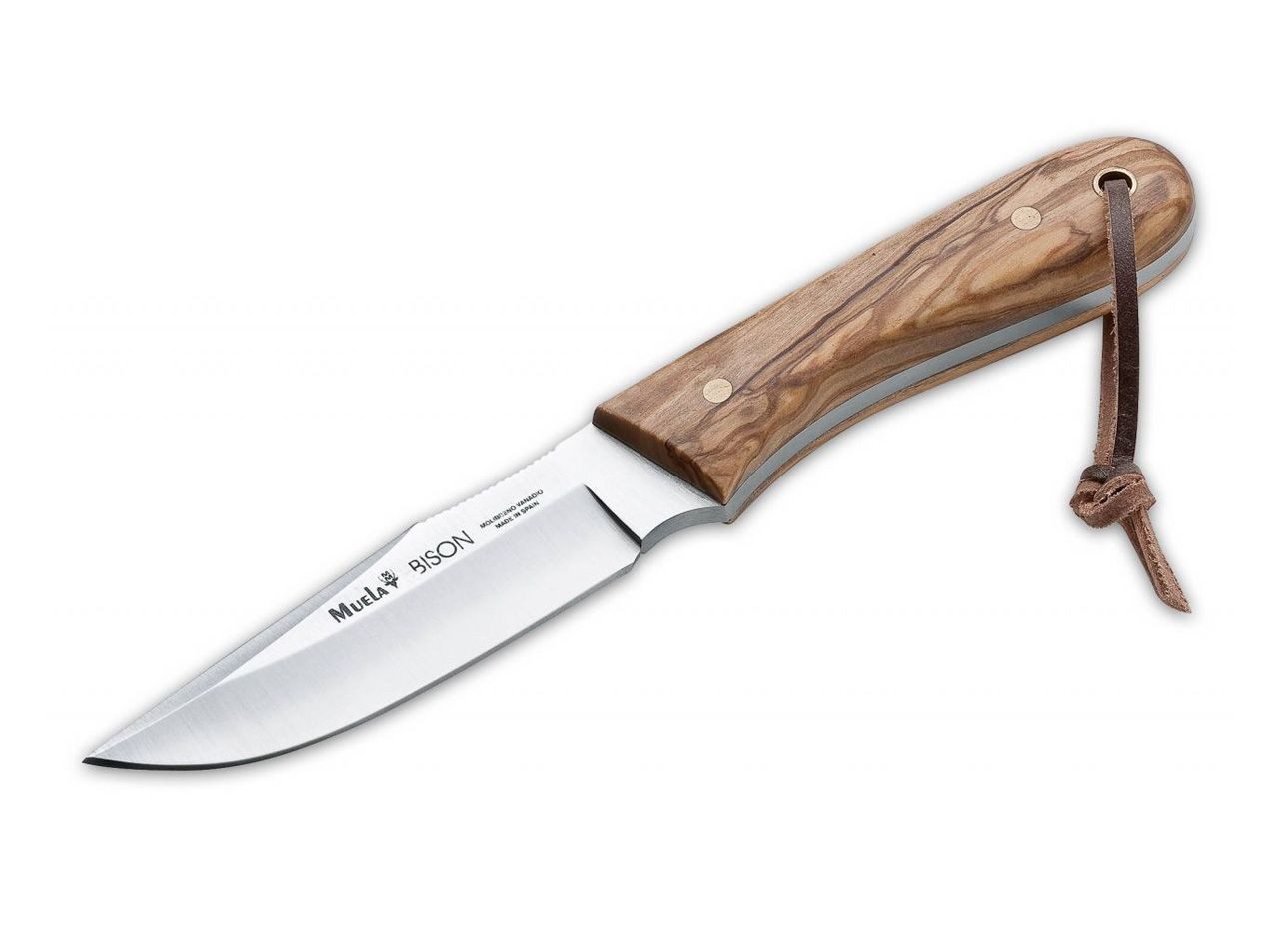 Muela Taschenmesser Feststehendes Messer Bison Olive