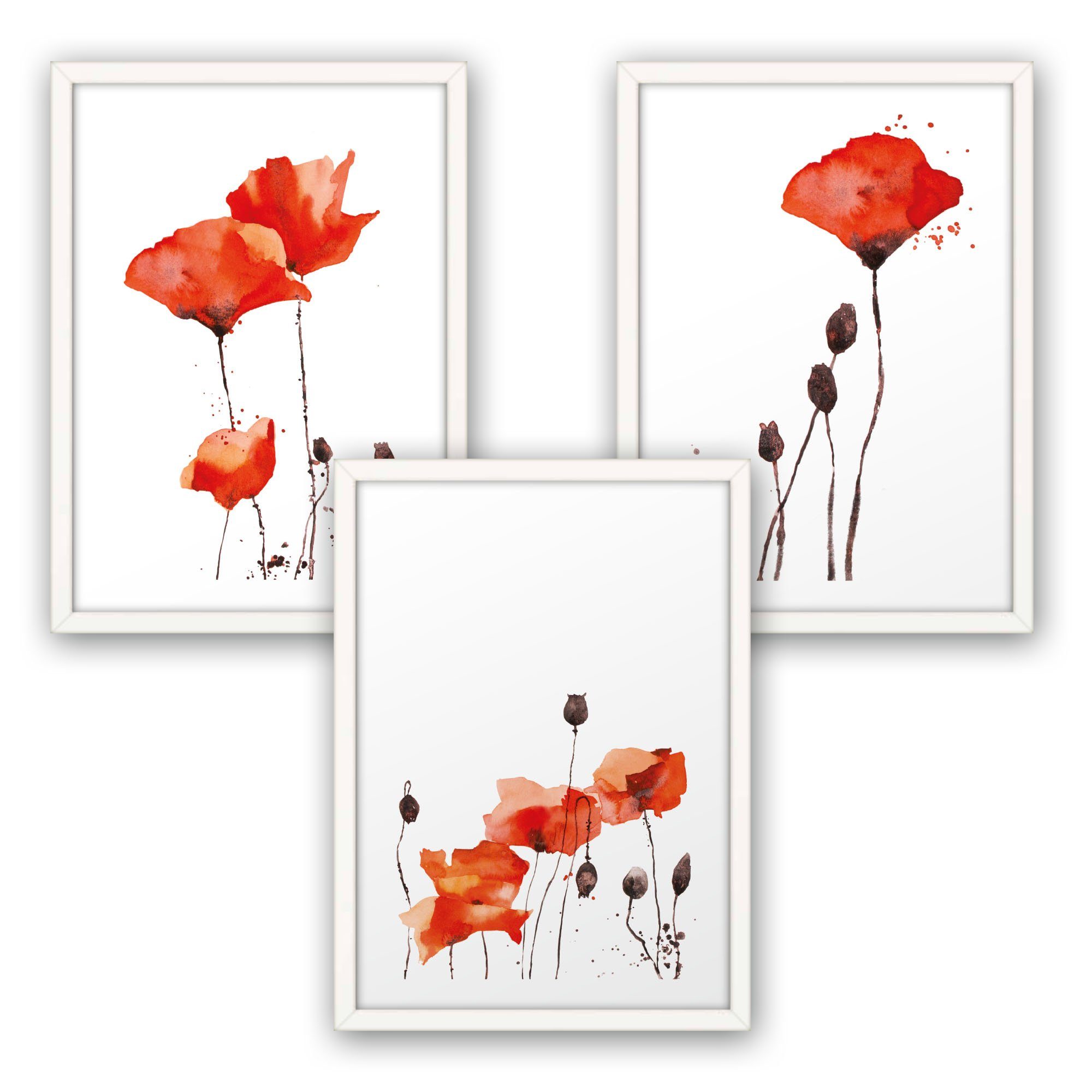 Kreative Feder Poster, Mohnblume, Blüte, Blume, günstig online kaufen