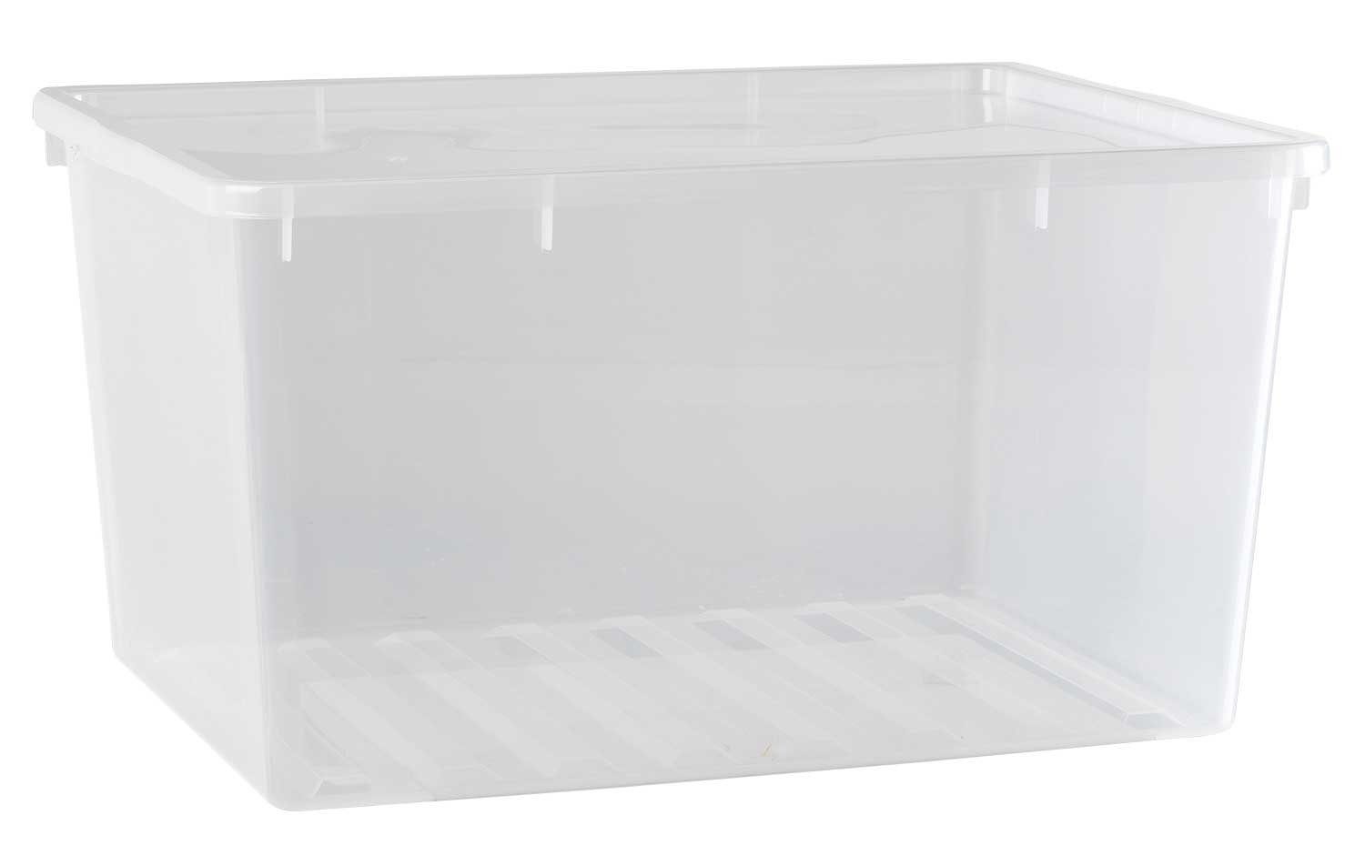 Aufbewahrungsbox CAESAR, Transparent, Kunststoff, mit Deckel, günstig online kaufen