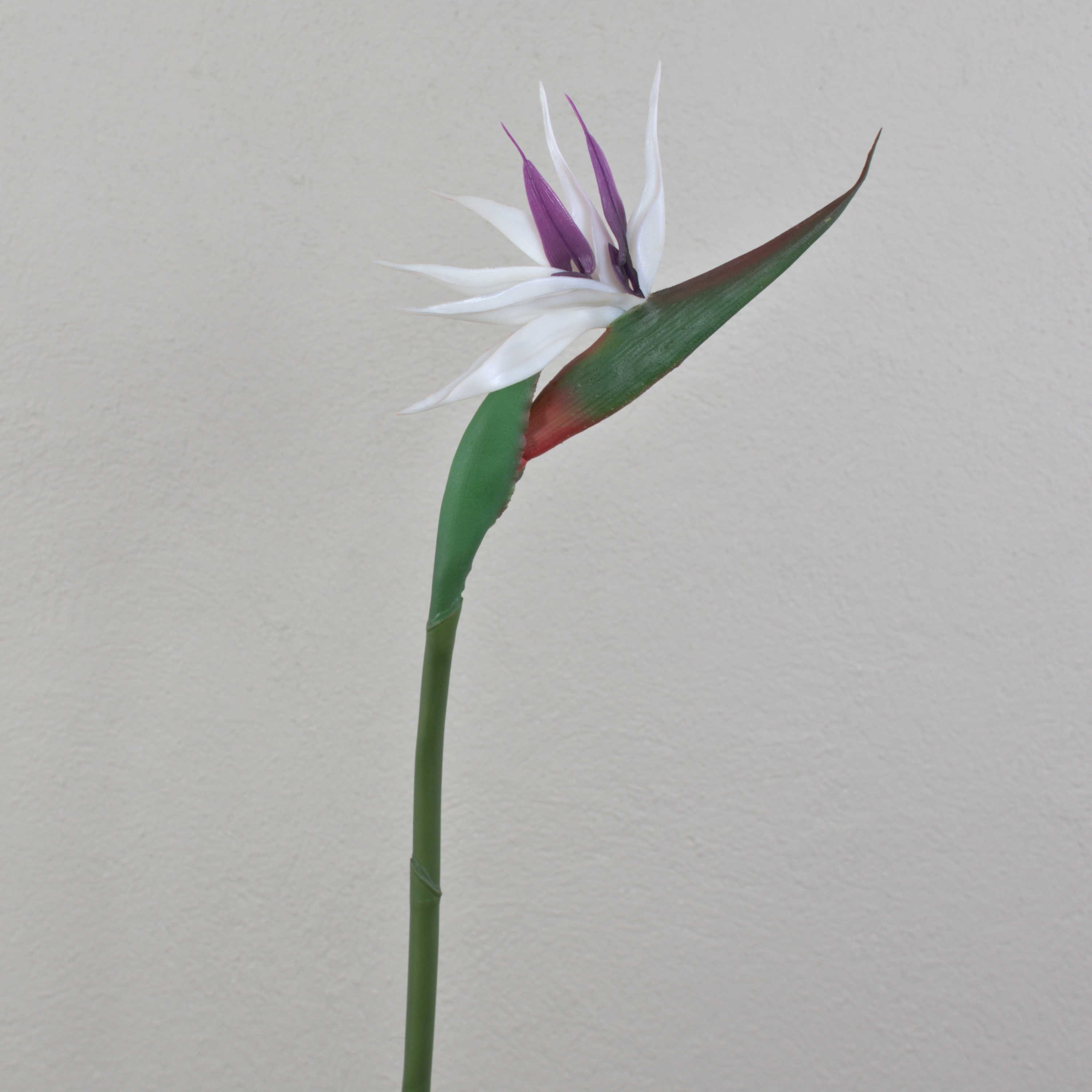 Kunstblume Kunst PapageienblumeCHAYA, weiß-violett, 85cm Strelitzie, artplants, Höhe 80.0 cm