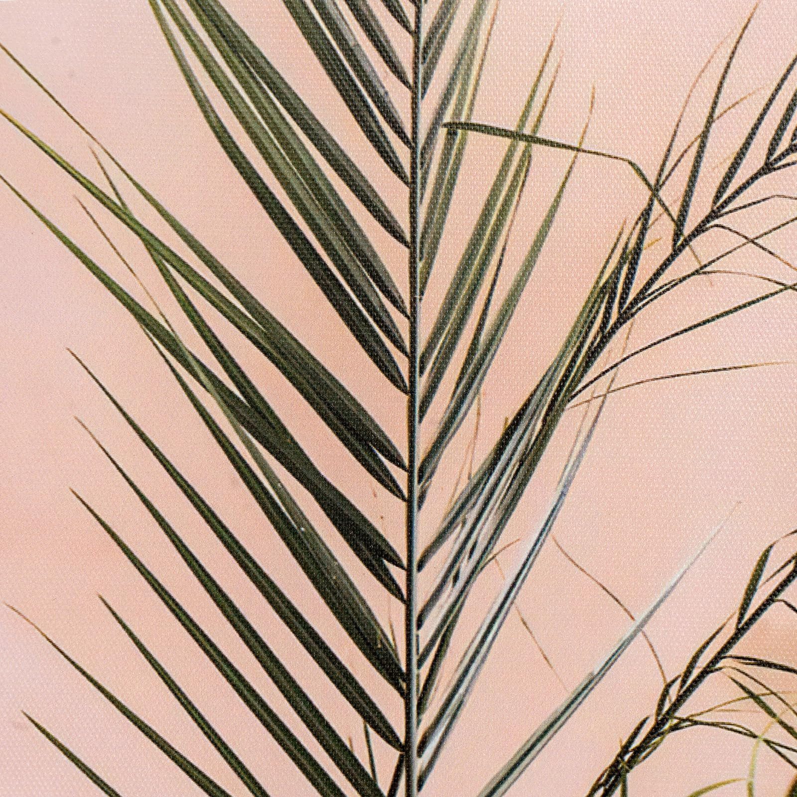 Youyijia Poster Wandbilder Boho Pampasgras 7-teiliges Poster Set,Moderne Wandbilder