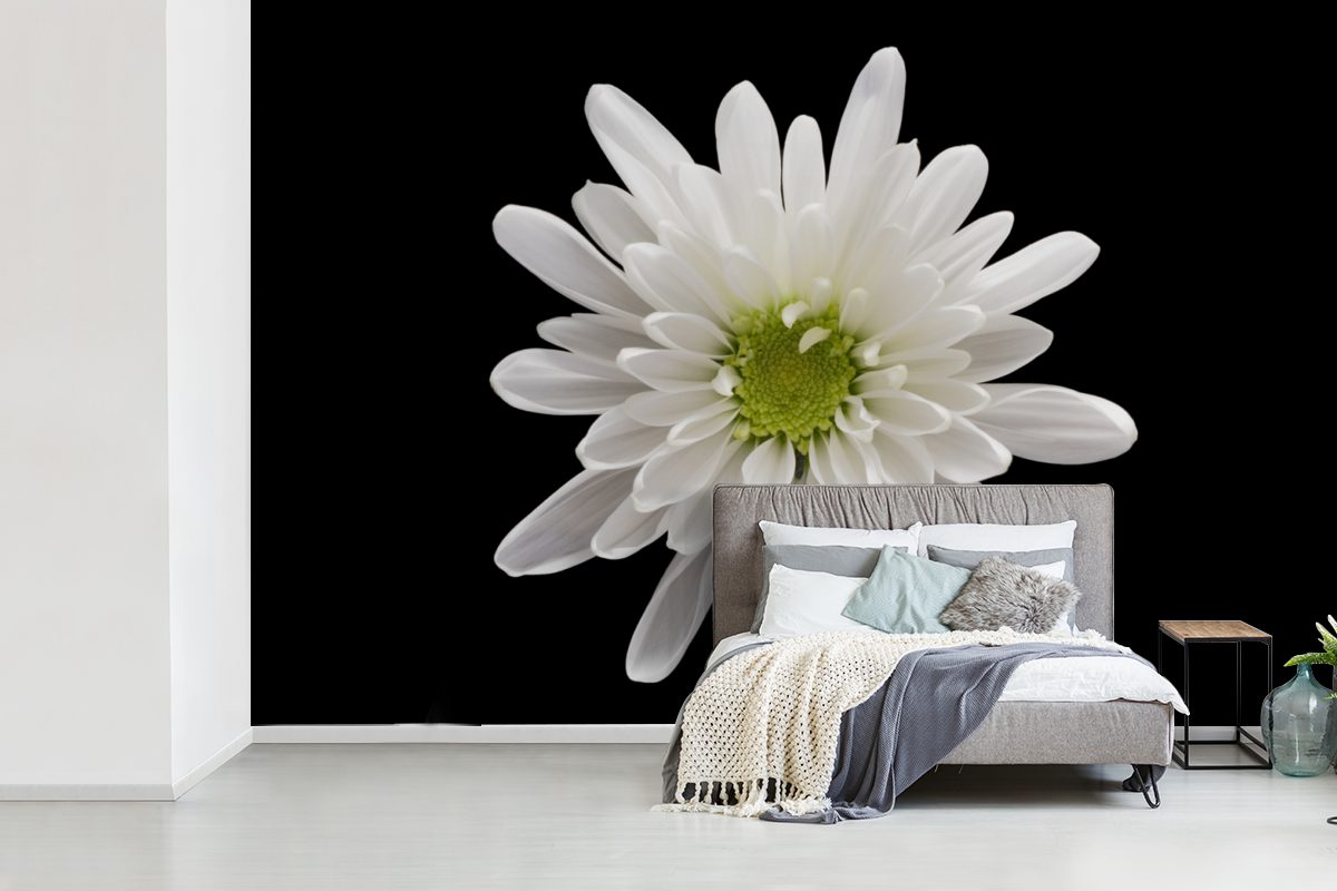 MuchoWow Fototapete Makro - Weiß für Matt, Wohnzimmer, - Wallpaper bedruckt, Blume, (6 St), Vinyl Kinderzimmer, Tapete Schlafzimmer
