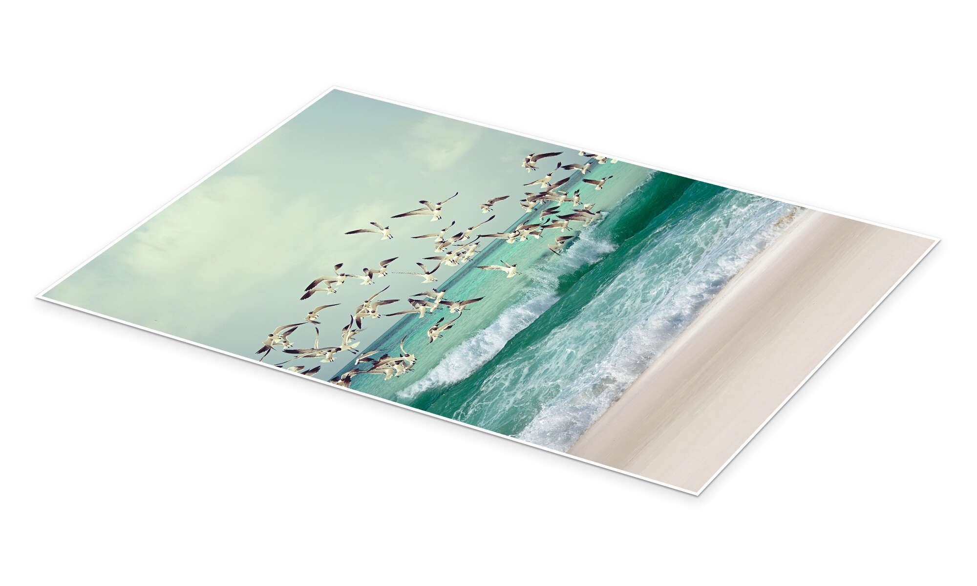 Posterlounge Wandbild Möwen am Strand, Art Couture, erhältlich als Poster, Leinwandbild, Wandsticker oder Acrylglasbild