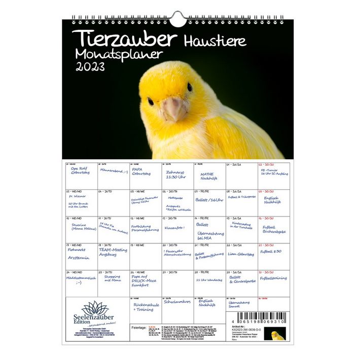 Seelenzauber Wandkalender Tierzauber Haustiere Planer DIN A3 - Kalender für 2023 - Seelenzauber