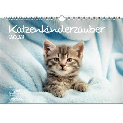 Seelenzauber Wandkalender »Katzenkinderzauber DIN A3 Kalender für 2023 Katzen«