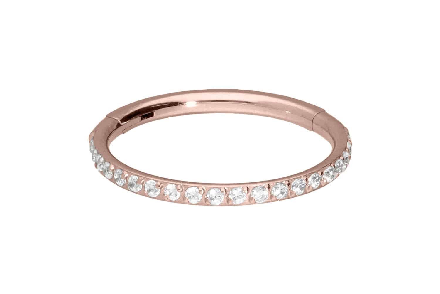 PIERCINGLINE Piercing-Set Titan Segmentring Clicker EINGEFASSTE günstig online kaufen