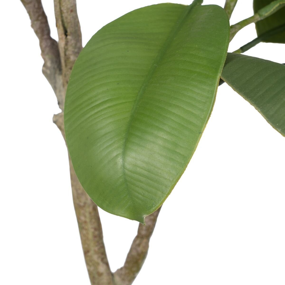 Künstliche Bigbuy, Eg, Höhe Dekorationspflanze PVC Zimmerpflanze cm grün 116 cm 116