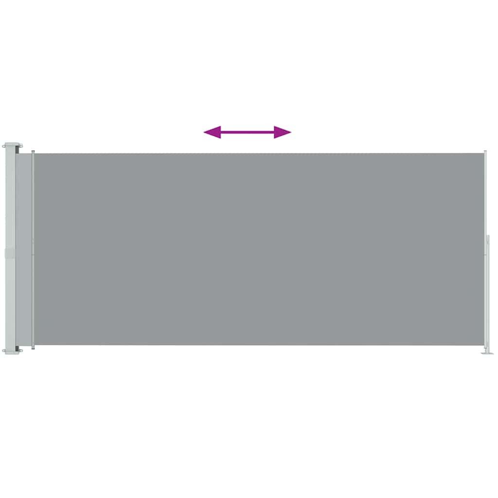 vidaXL Seitenmarkise Seitenmarkise Ausziehbar 200x500 cm günstig online kaufen