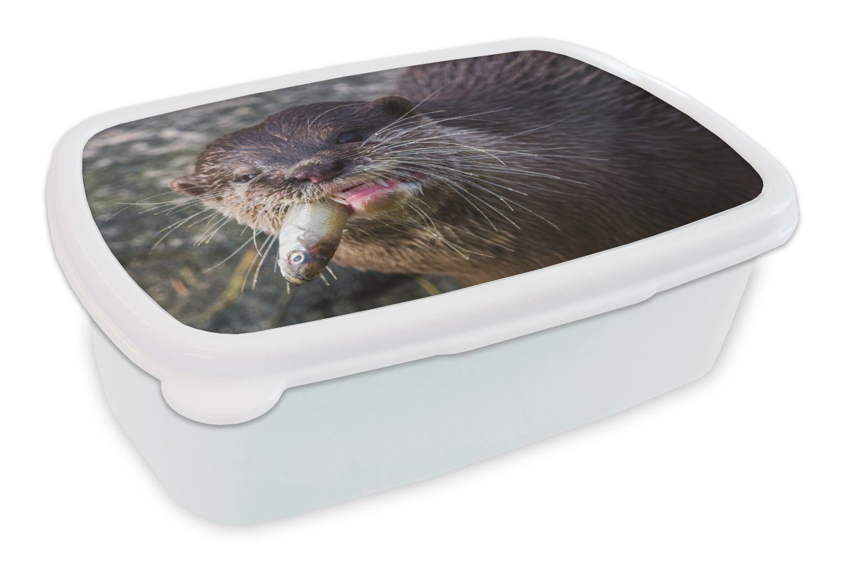 MuchoWow Lunchbox Otter frisst Fisch, Kunststoff, (2-tlg), Brotbox für Kinder und Erwachsene, Brotdose, für Jungs und Mädchen weiß