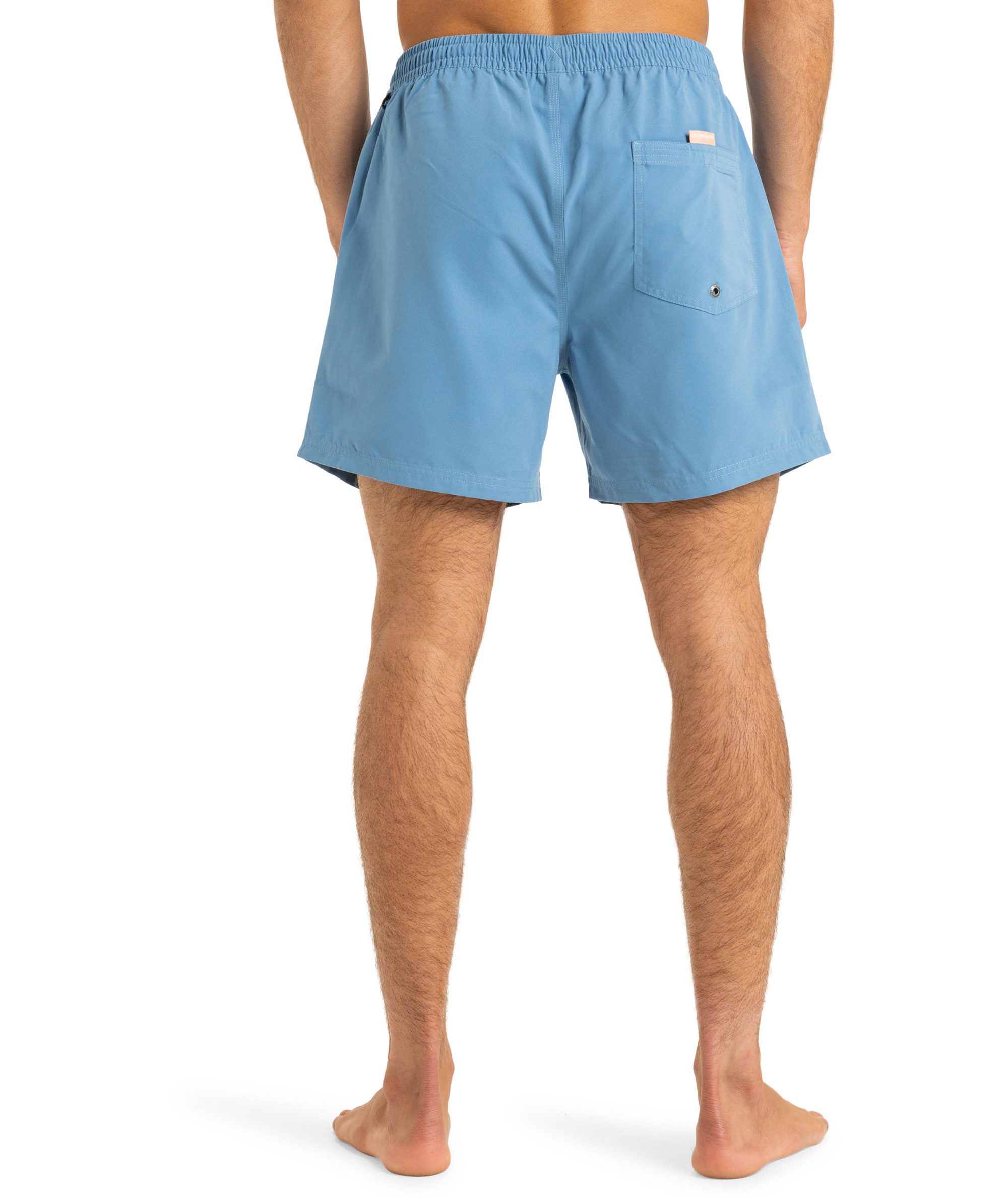 Quiksilver Badeshorts EVERYDAY VOLLEY 15 (1-St) günstig online kaufen