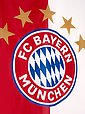 FC Bayern Fahne »FC Bayern München Bannerfahne mit 5 Sterne Logo, 120x300 cm«, Bild 5