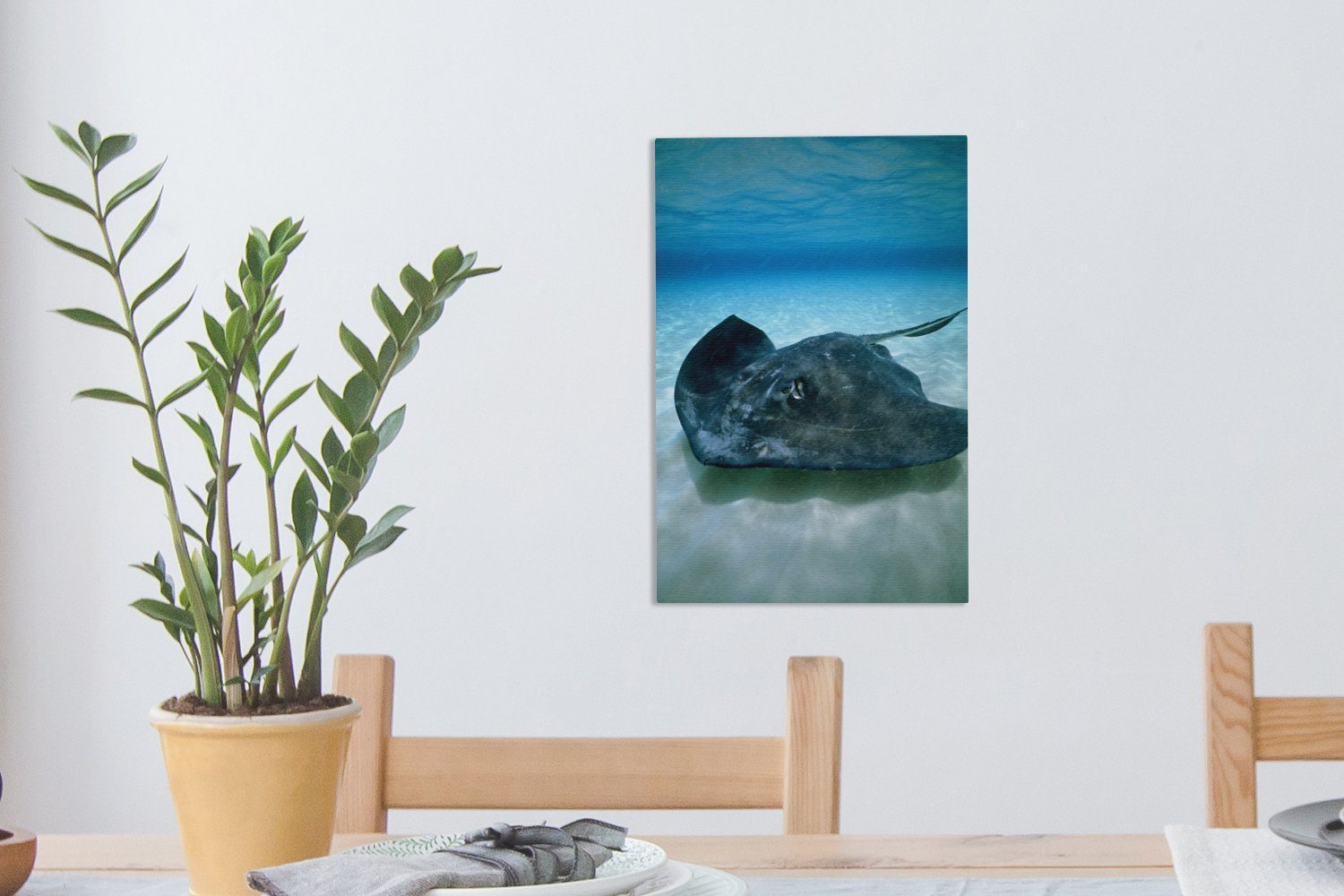 bespannt inkl. Leinwandbild fertig Meeresgrund, 20x30 Gemälde, dem OneMillionCanvasses® cm Ein Leinwandbild Zackenaufhänger, auf Rochen (1 St),