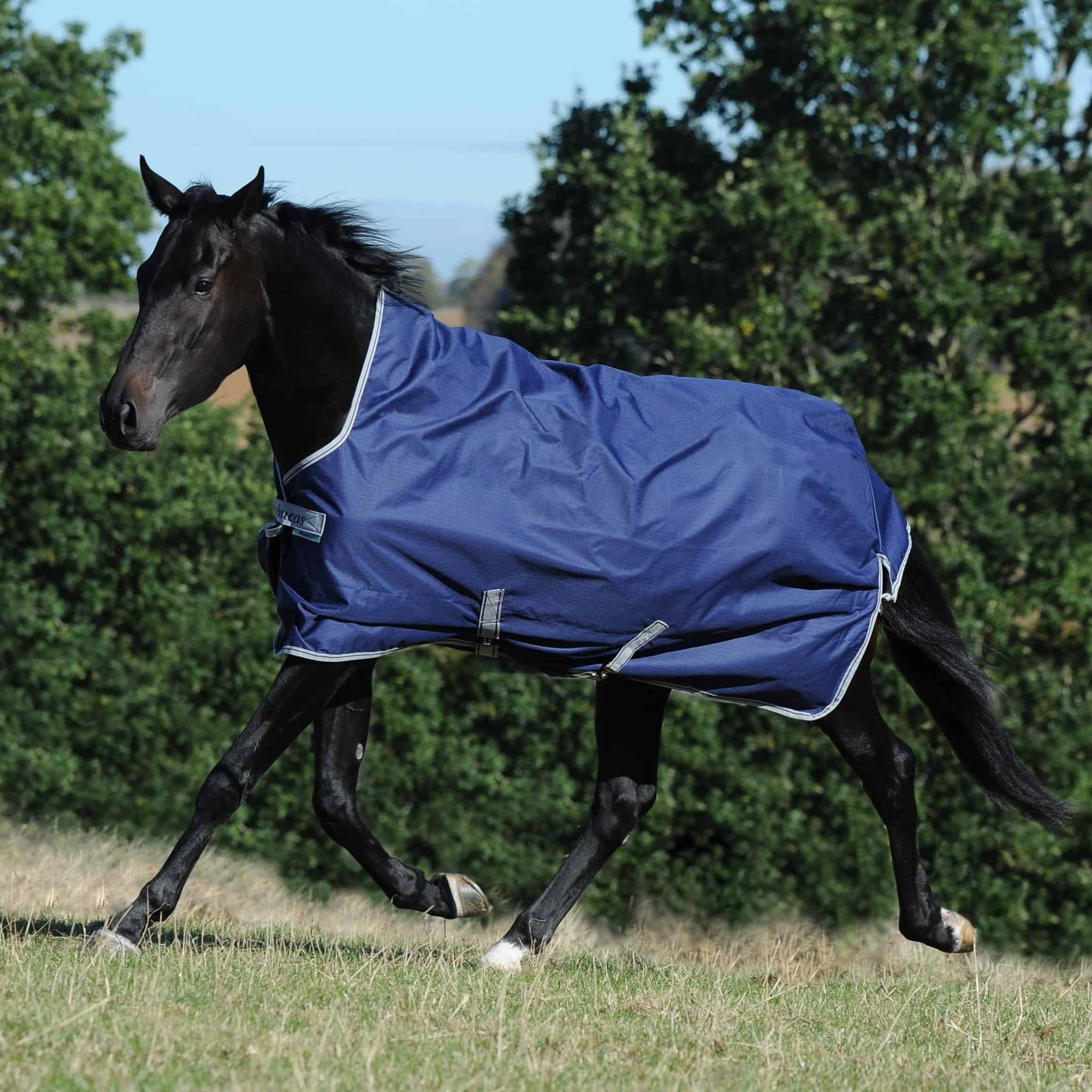 Bucas Ausreitdecke Outdoordecke Freedom High Neck 150g in Navy/Silber