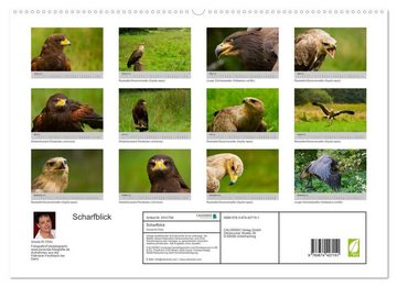 CALVENDO Wandkalender Scharfblick (Premium, hochwertiger DIN A2 Wandkalender 2023, Kunstdruck in Hochglanz)