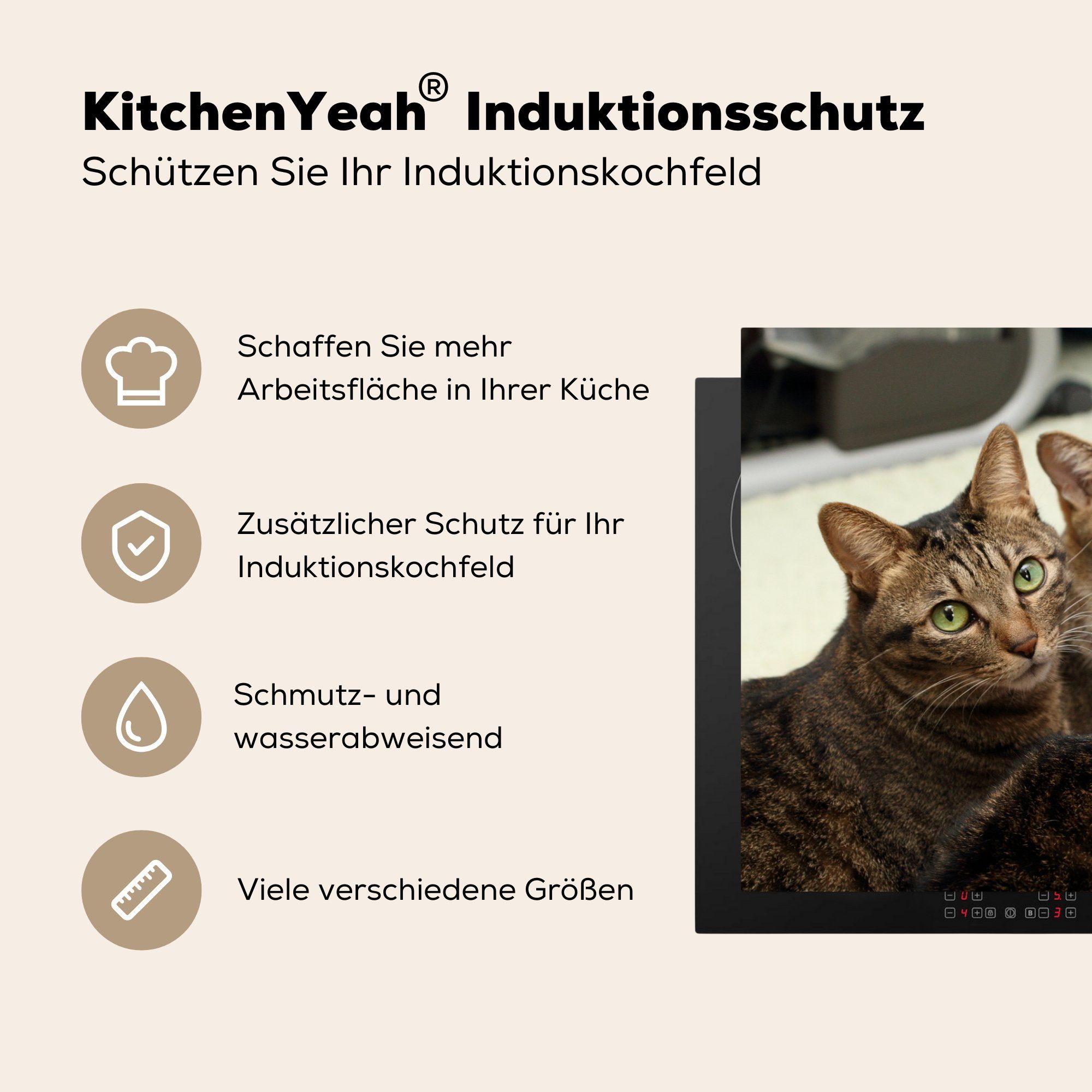 Katze Ceranfeldabdeckung Vinyl, MuchoWow - die Herdblende-/Abdeckplatte für (1 Induktionskochfeld Braun, küche, tlg), cm, Schutz 81x52