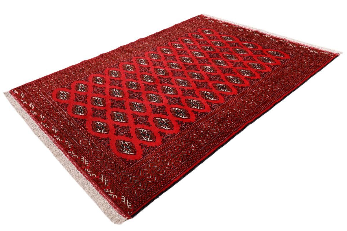 Orientteppich Turkaman 203x268 Handgeknüpfter Orientteppich mm rechteckig, / Nain Perserteppich, Trading, 6 Höhe