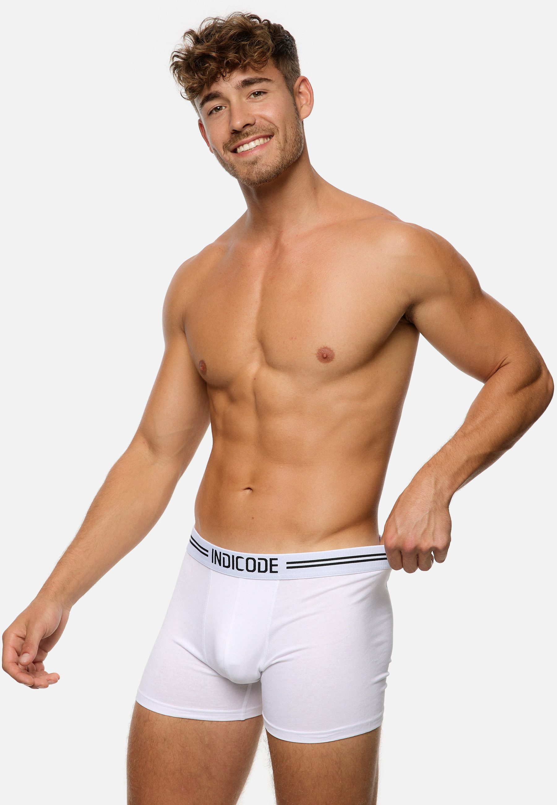 Indicode Boxershorts Herren Copenhagen Boxer Shorts Herrenshorts (Boxershorts) 7er Pack