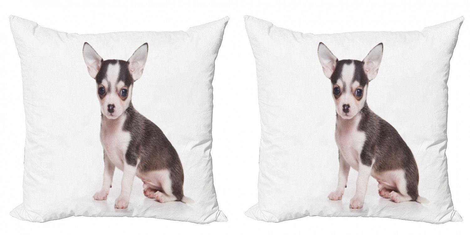 Stück), Modern Abakuhaus Chihuahua Accent Innocent Doppelseitiger Eyes (2 Digitaldruck, Kissenbezüge Ohren