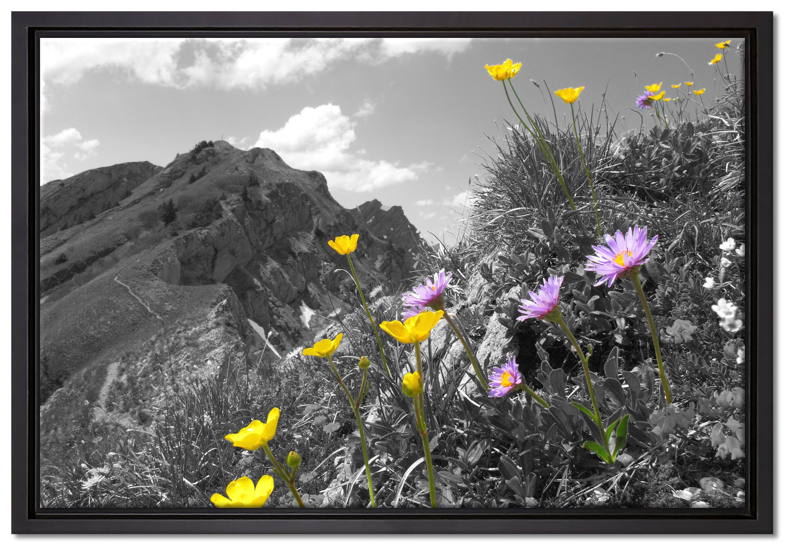 Pixxprint Leinwandbild Blumenwiese im Frühling, Wanddekoration (1 St), Leinwandbild fertig bespannt, in einem Schattenfugen-Bilderrahmen gefasst, inkl. Zackenaufhänger