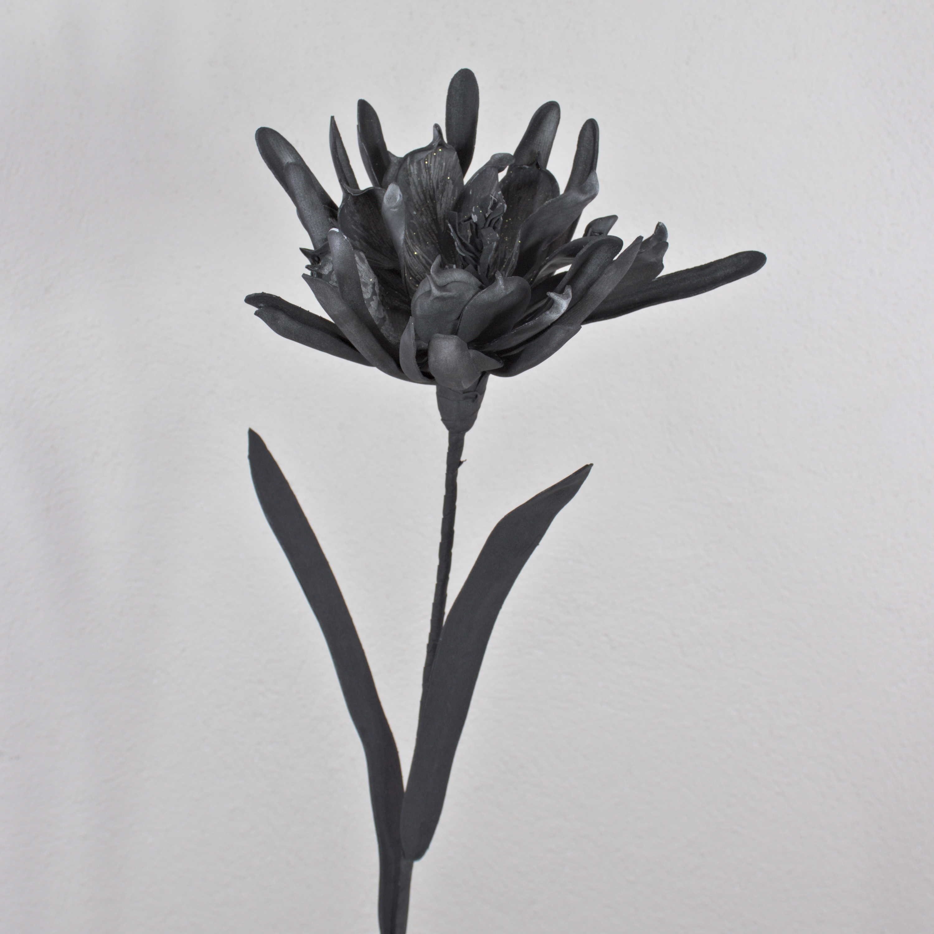 Kunstblume Deko Blüte Kaktus Königin der Nacht MOADI mit Glitzer, schwarz, 90cm Königin der Nacht Kaktus, artplants, Höhe 90.0 cm