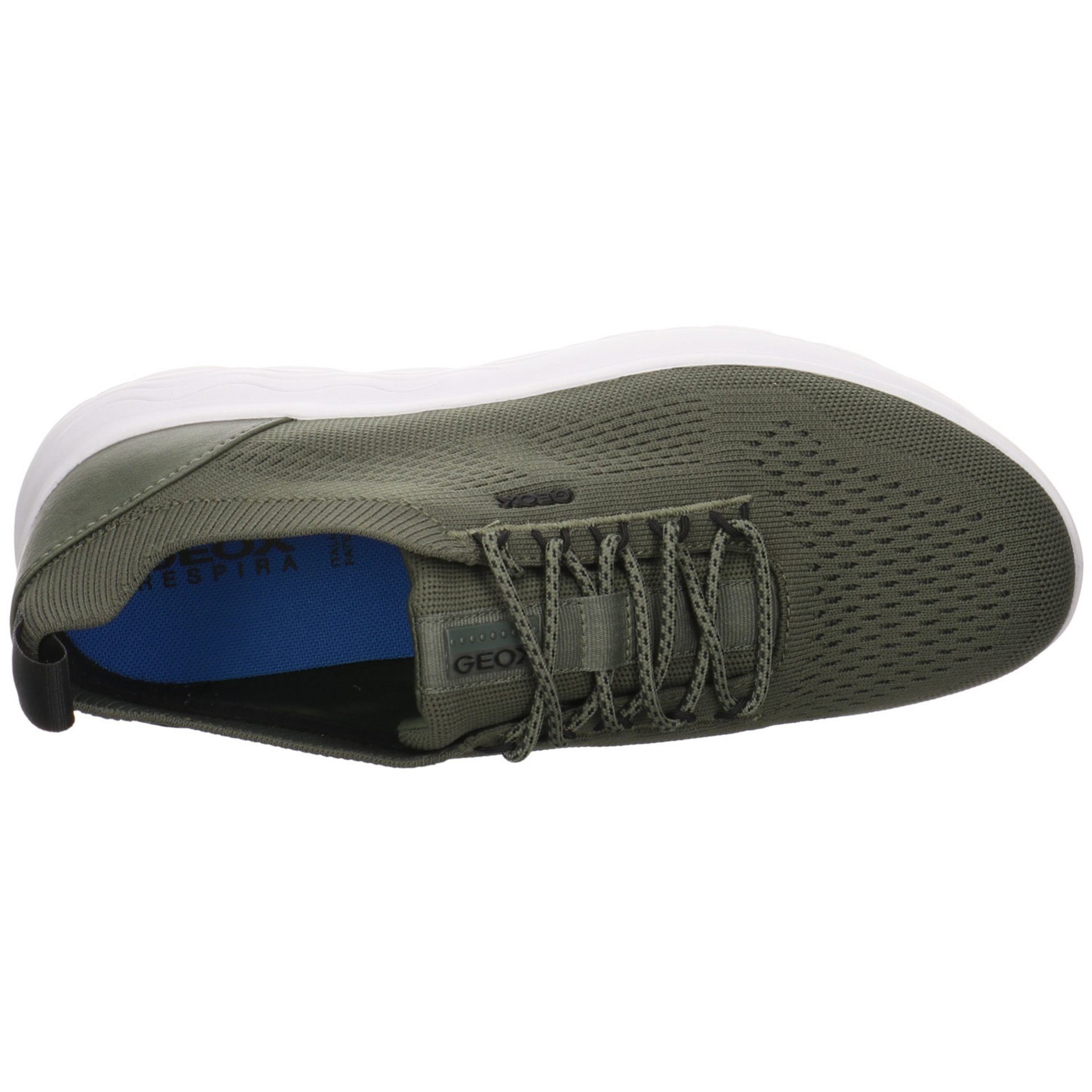 Textil Sneaker Herren (07101859) Schnürhalbschuhe MUSK Geox