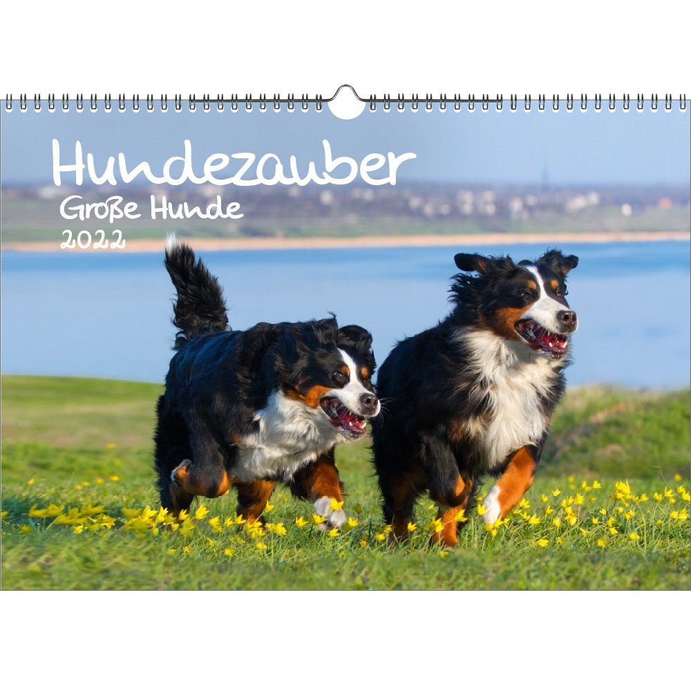 Seelenzauber Wandkalender Hundezauber Große Hunde Doppelpack DIN A3 
