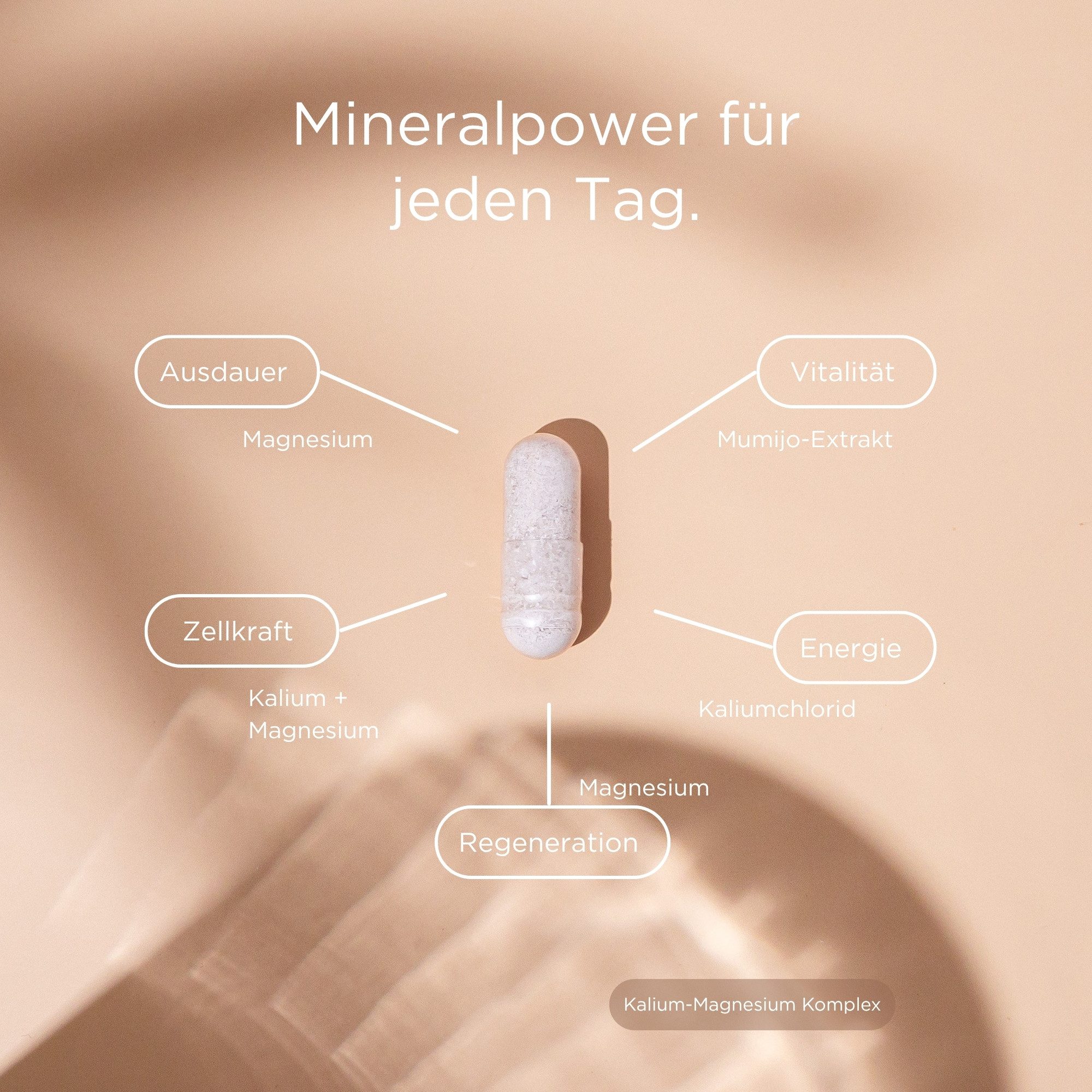 DeuVita Nahrungsergänzungsmittel Kapseln, 1 er 60 St., Hochwertiger Magnesium Aquamin™ Mg TG Kalium Komplex 60 Kapseln