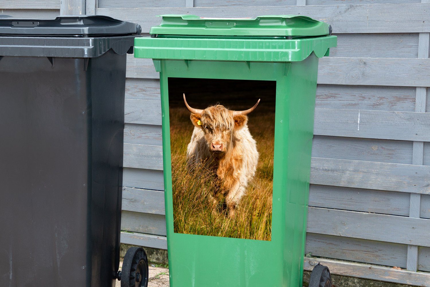 Licht Abfalbehälter Container, Sticker, St), MuchoWow - Highlander - (1 Tiere Mülltonne, Wandsticker Schottische Mülleimer-aufkleber, Gras -