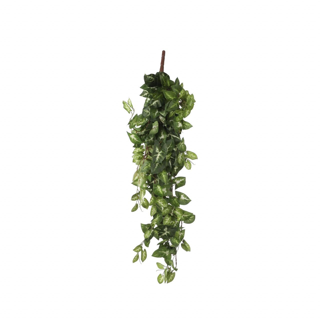 Kunstpflanze Mica künstliche Fittonia hängend grün 80 x 30 x 15, Mica Decorations