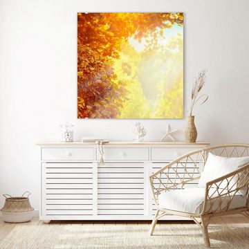 Primedeco Glasbild Wandbild Quadratisch Sonne im Herbst mit Aufhängung, Natur