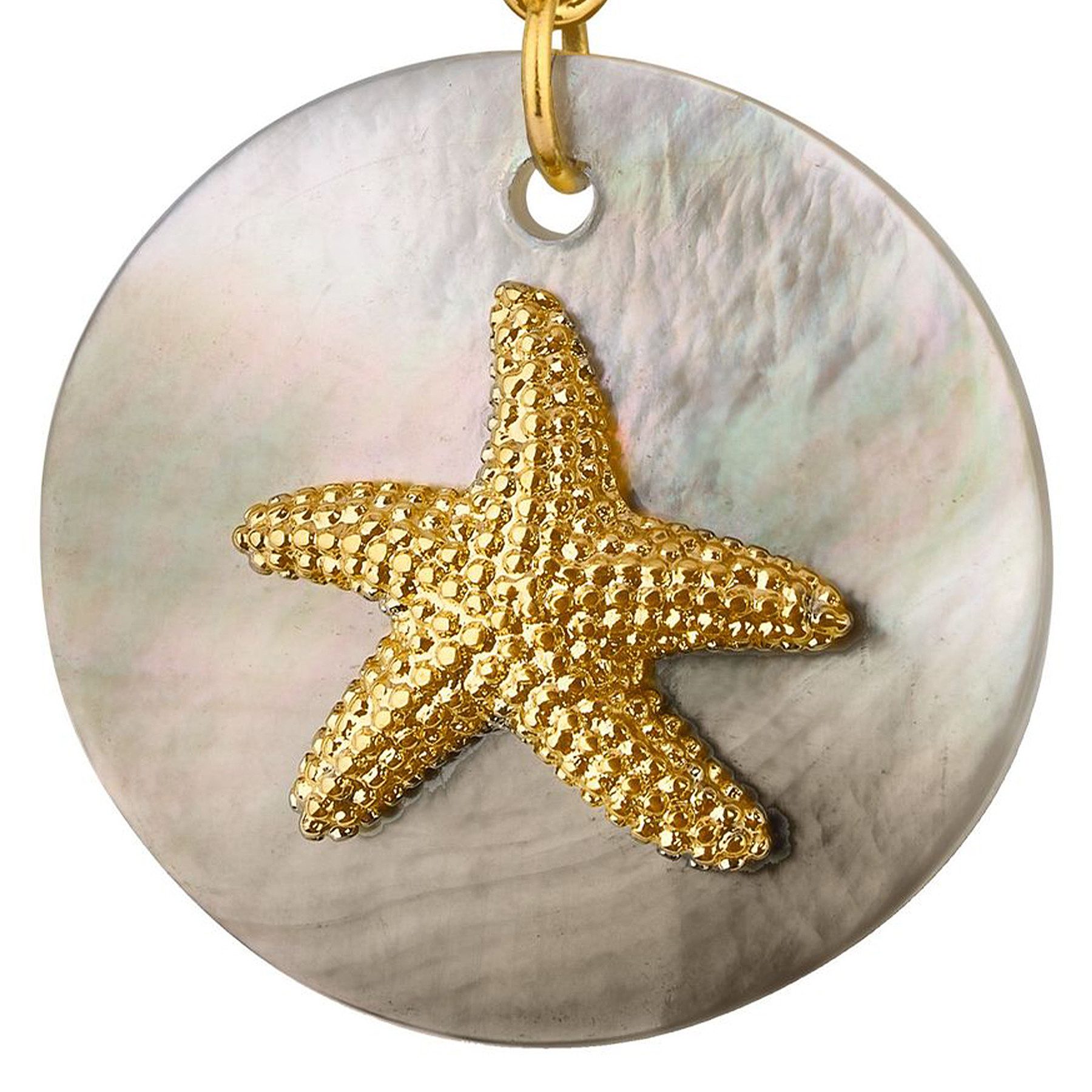 ANELY Paar Ohrhänger Glänzende Anhänger mit Seestern und Muschelstruktur (modisch, 2-tlg., Casualmode), 9057 in Gold