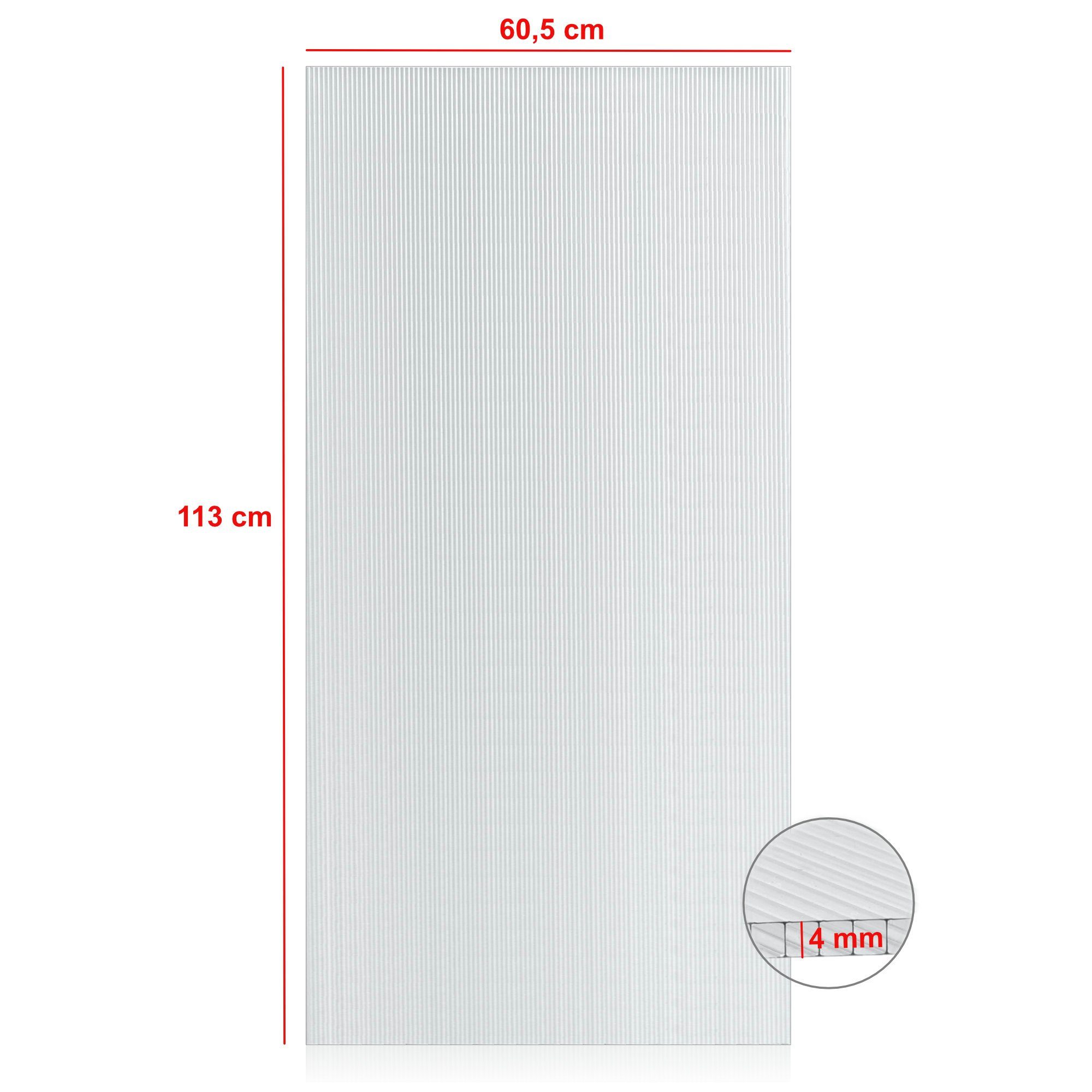 Zelsius Hohlkammerplatte Hohlkammerstegplatte 4 mm, 113 x 60,5 cm, Gewächshaus Ersatzplatte, 4.00 mm