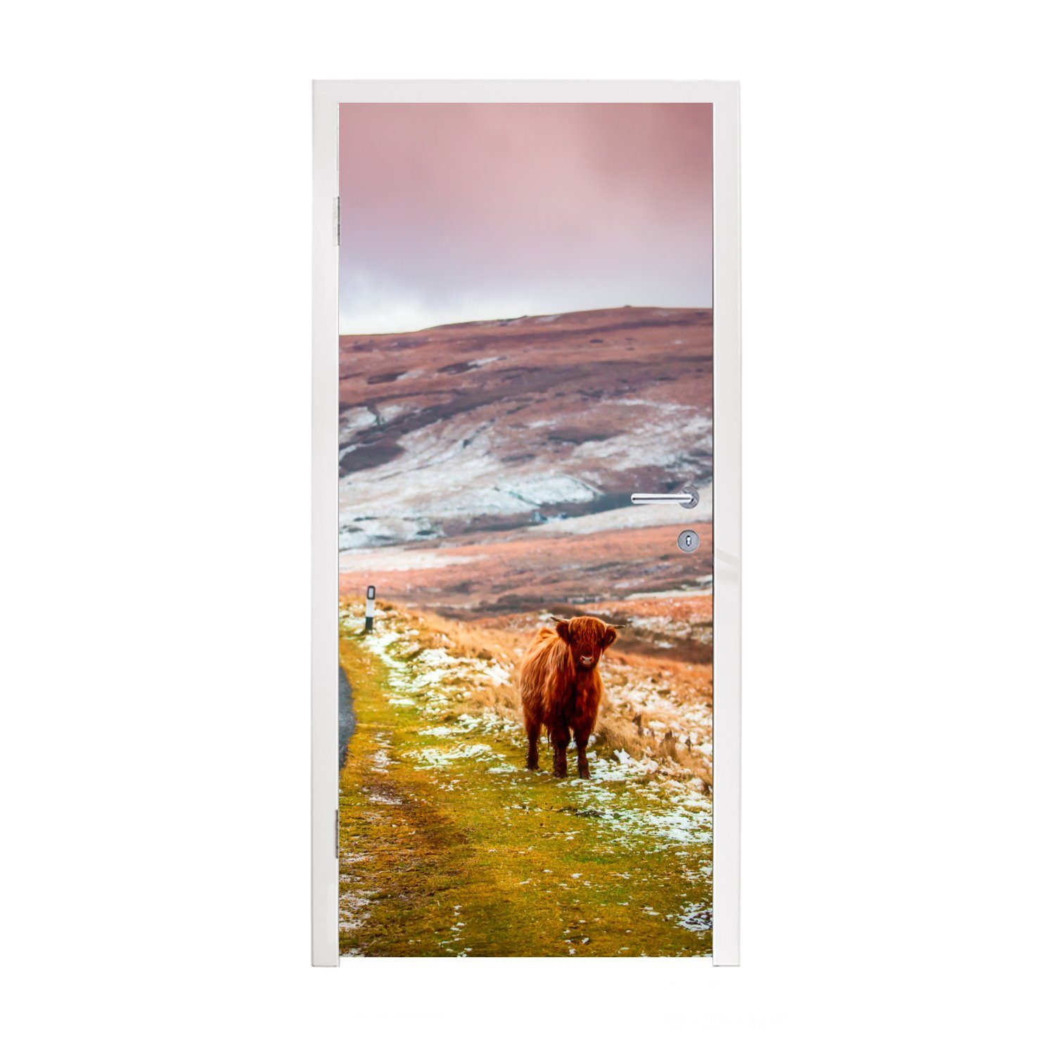 MuchoWow Türtapete Schottischer Highlander - Natur - Kalb, Matt, bedruckt, (1 St), Fototapete für Tür, Türaufkleber, 75x205 cm