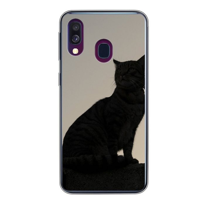 MuchoWow Handyhülle Katze - Dunkelheit - Zaun Handyhülle Samsung Galaxy A40 Smartphone-Bumper Print Handy