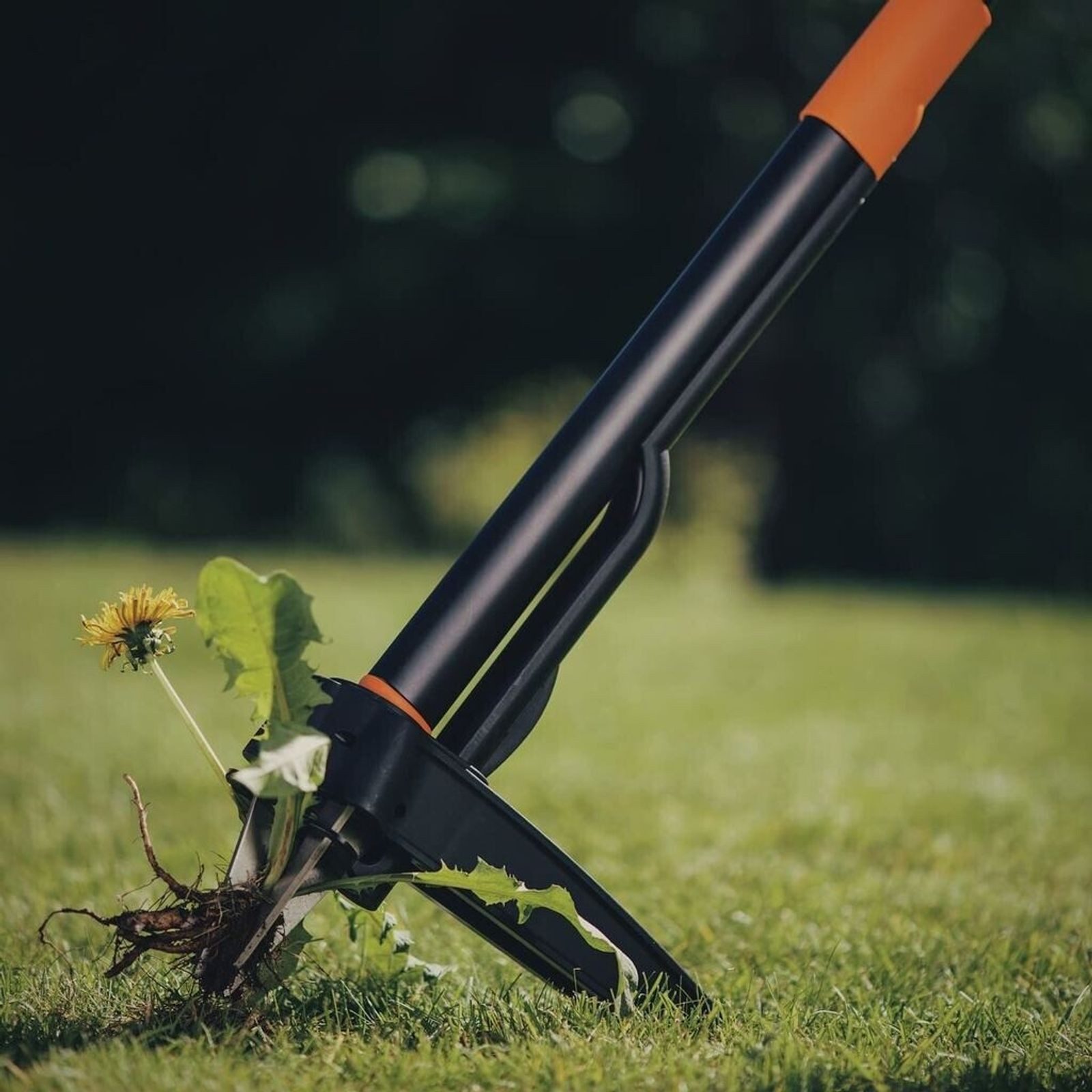 Fiskars Unkrautstecher Xact Unkrautstecher